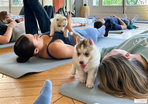 London Puppy Yoga Card